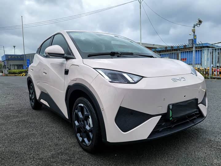 BYD Seagull Smart Drive 305 km Free