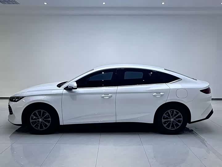 BYD Qin L DM-i 80 км Leading