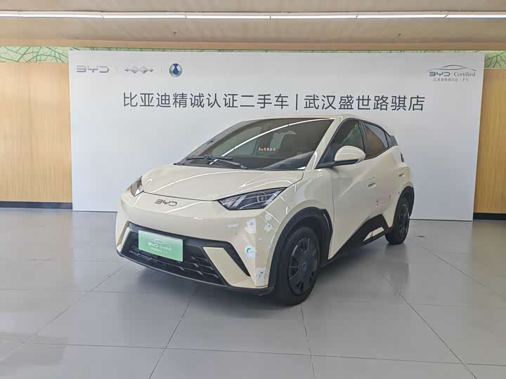 BYD Seagull Honor Edition 305 km Vitality