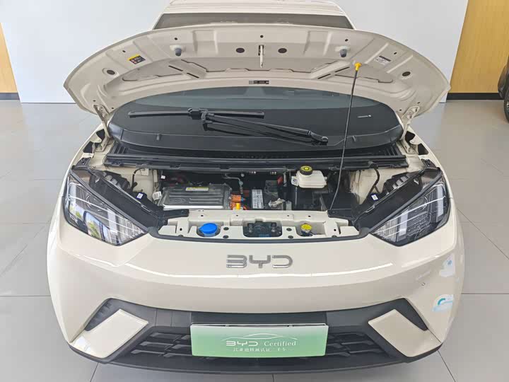 BYD Seagull Honor Edition 305 km Vitality