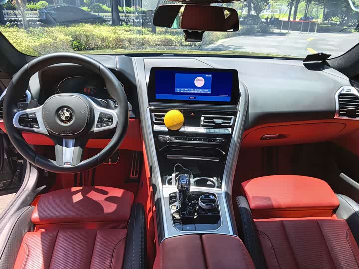 BMW 8 Series
