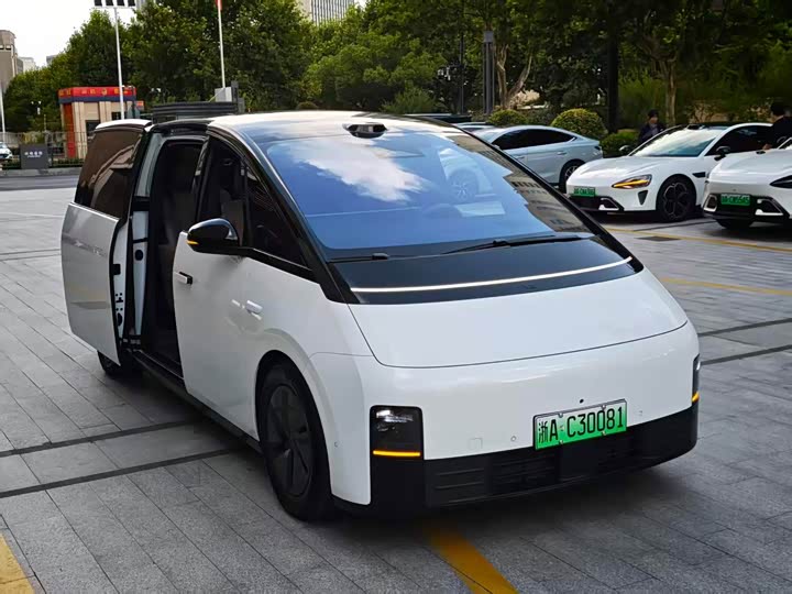 Li Auto MEGA Home Family Special Edition