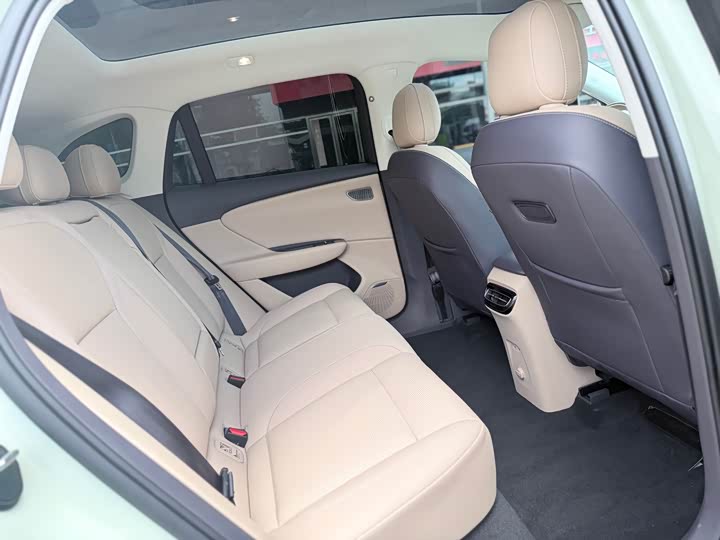 Hongqi Tiangong 06 520 Zhixuan