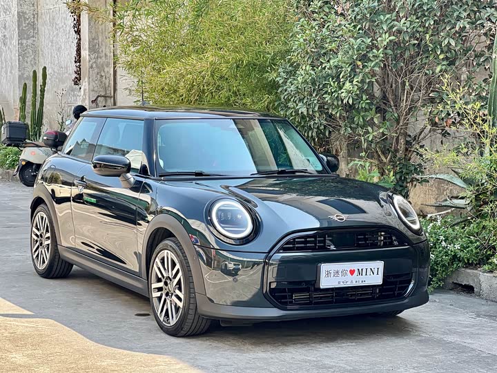 MINI 