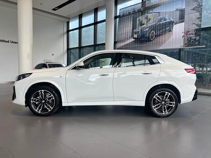 BMW X2 (Im port) s Drive25i M Sport Package