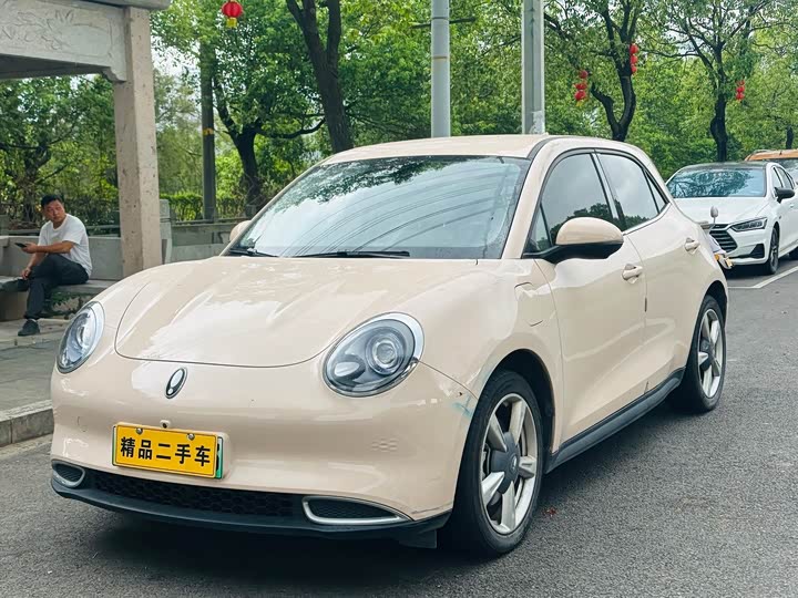 Great Wall ORA Good Cat 401 km Luxury
