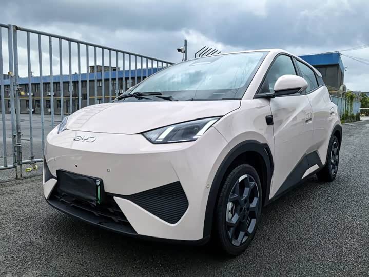BYD Seagull Smart Drive 305 km Free