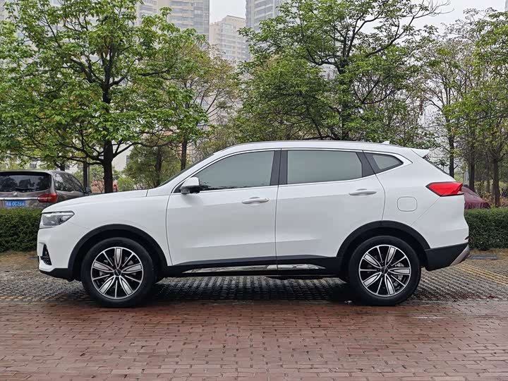 Haval H6 Guochao Edition