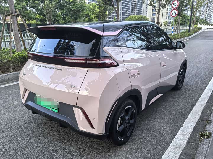 BYD Seagull Honor 305 km Free