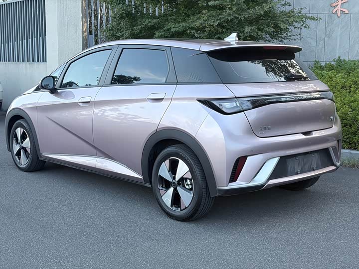 BYD Dolphin Glory Edition 420 km Style