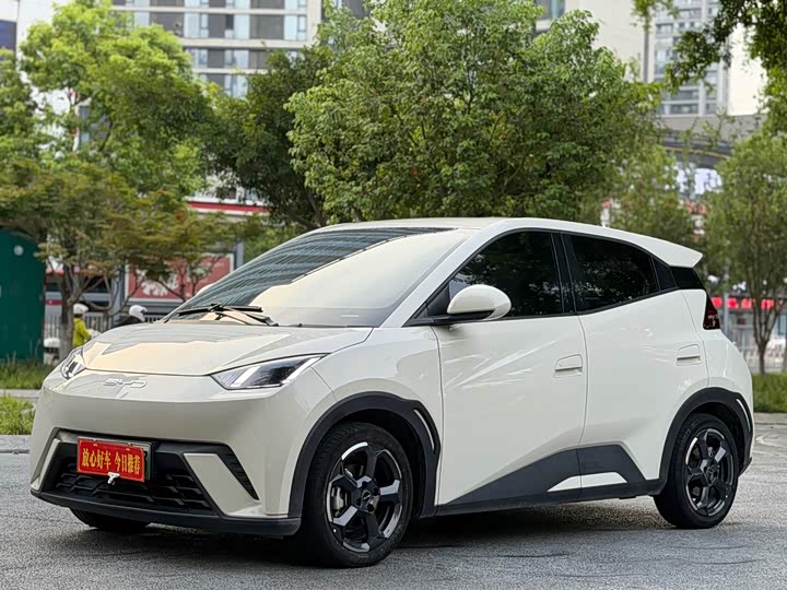 BYD Seagull Honor 305 km Free
