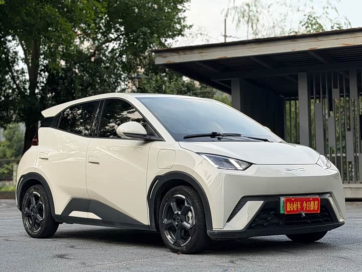 BYD Seagull Honor 305 km Free