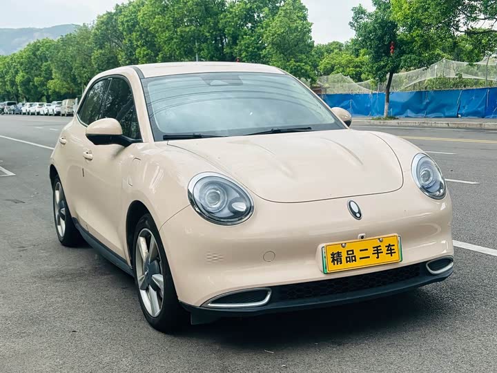 Great Wall ORA Good Cat 401 km Luxury