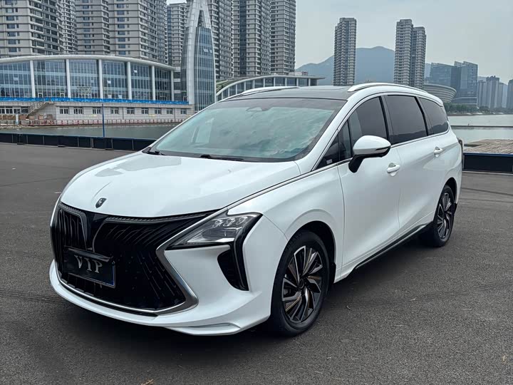 Fengxing Dongfeng Fengxing Youting