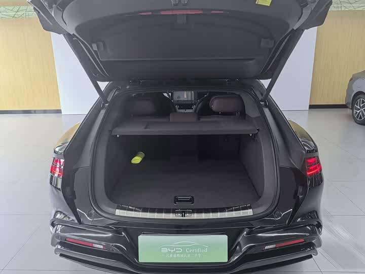 Denza Z9GT