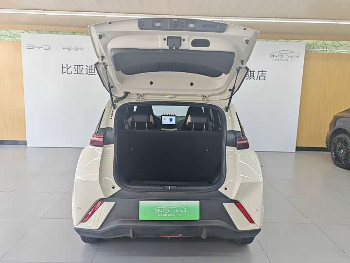 BYD Seagull Honor Edition 305 km Vitality