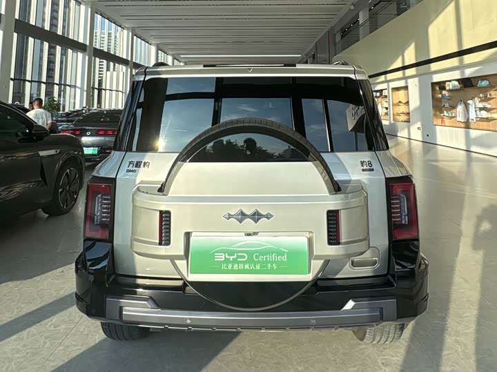 Fangchengbao Bao 8 Zhiyong Flagship 7-Seater