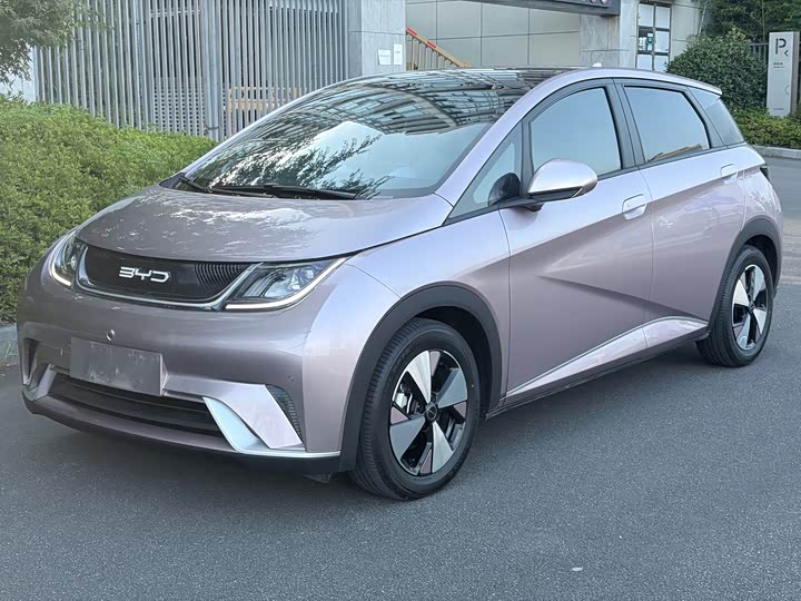 BYD Dolphin Glory Edition 420 km Style