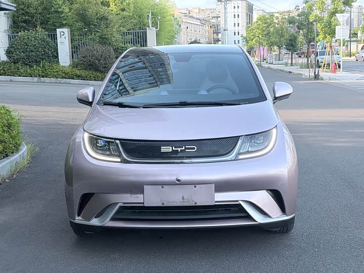 BYD Dolphin Glory Edition 420 km Style