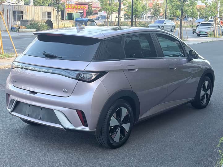 BYD Dolphin Glory Edition 420 km Style