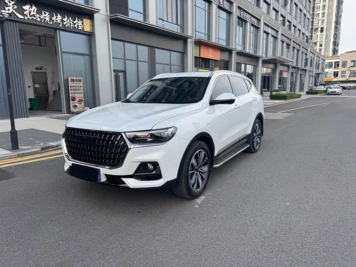 Haval H6 Guochao Edition