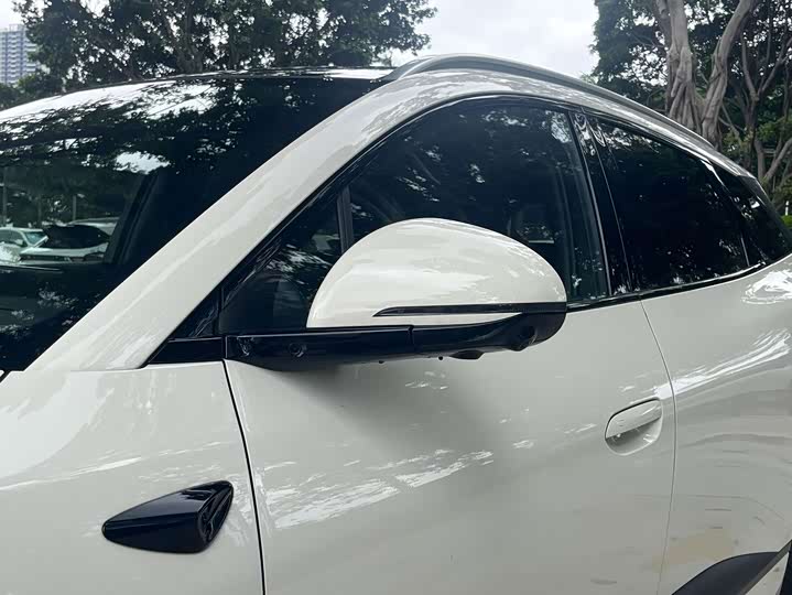 BYD Sea Lion 06 DM-i 205 Linghang Plus