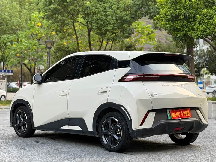 BYD Seagull Honor 305 km Free