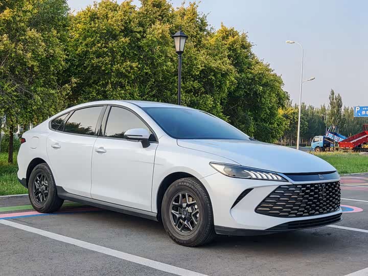 BYD Qin PLUS DM-i Smart Drive 55 km Leading