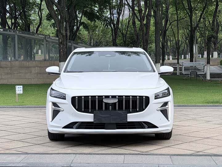 Geely Xingrui (Preface) L 2024