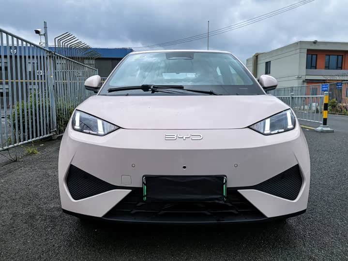 BYD Seagull Smart Drive 305 km Free