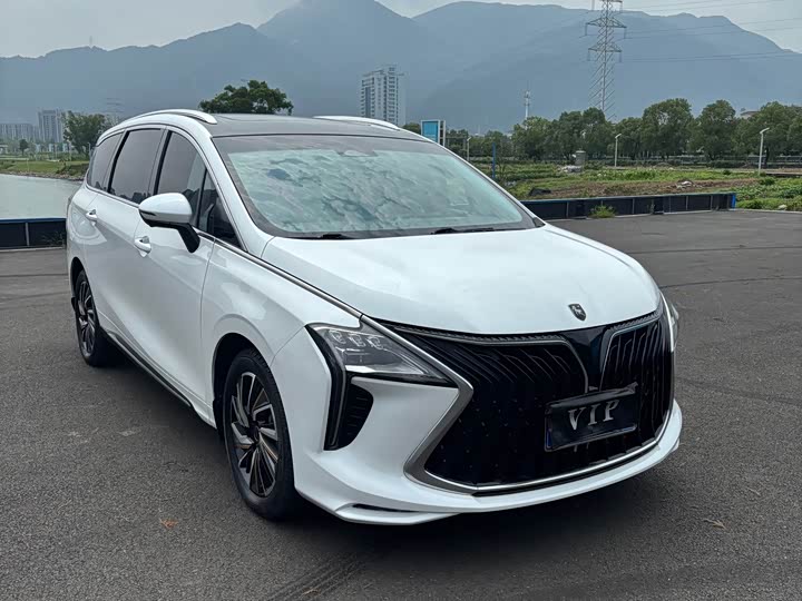Fengxing Dongfeng Fengxing Youting