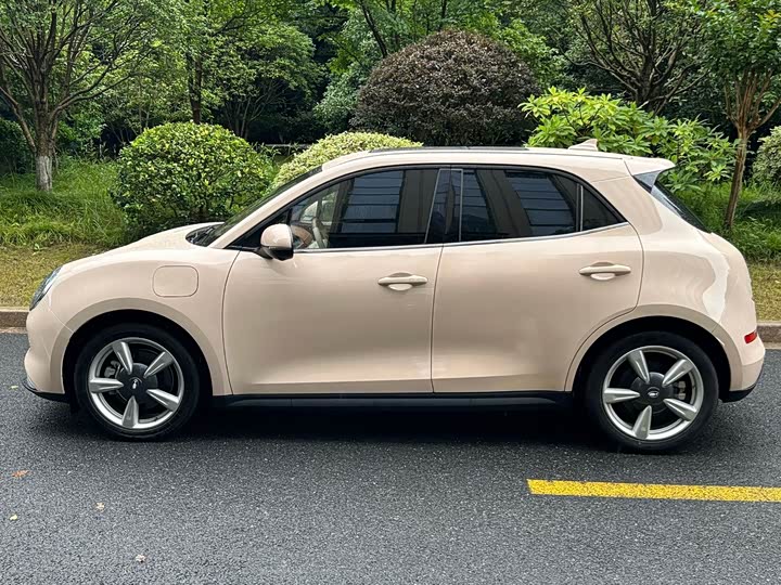 Great Wall ORA Good Cat 401 km Standard Range Premium LFP