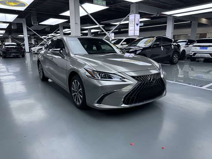 Lexus ES 200 Premium Enjoy Edition