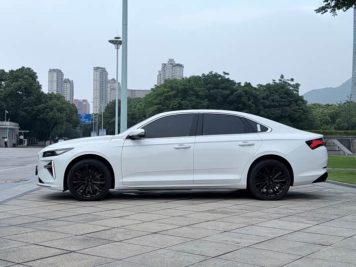 Geely Xingrui (Preface) L 2024