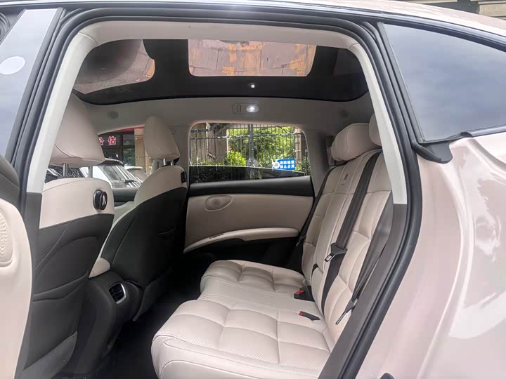 IM LS6 Max Standard