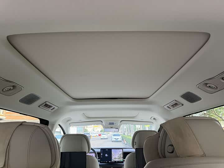 Denza D9 DM-i Smart Drive 1020