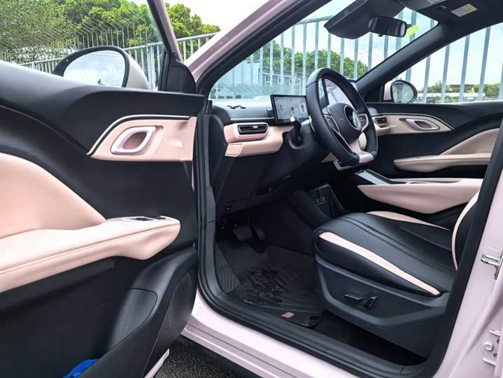 BYD Seagull Smart Drive 305 km Free