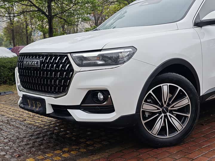 Haval H6 Guochao Edition
