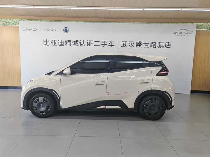 BYD Seagull Honor Edition 305 km Vitality