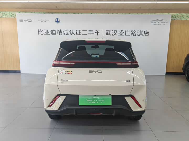BYD Seagull Honor Edition 305 km Vitality