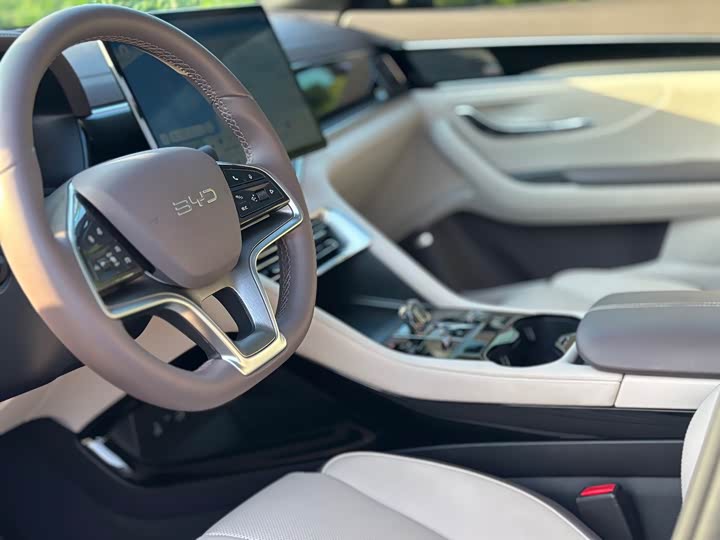 BYD Song PLUS NEV DM-i 160 km Flagship PLUS