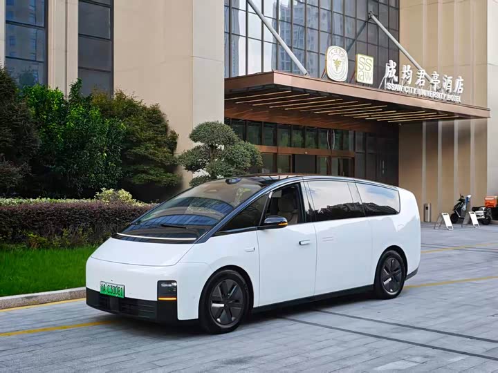 Li Auto MEGA Home Family Special Edition