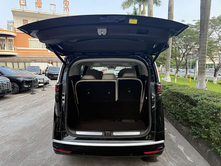 Denza D9 DM-i Smart Drive 1020