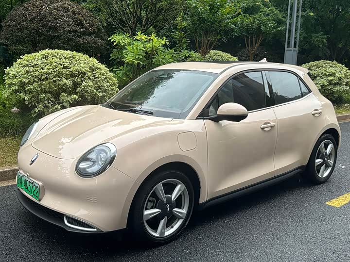 Great Wall ORA Good Cat 401 km Standard Range Premium LFP