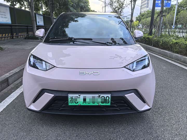 BYD Seagull Honor 305 km Free