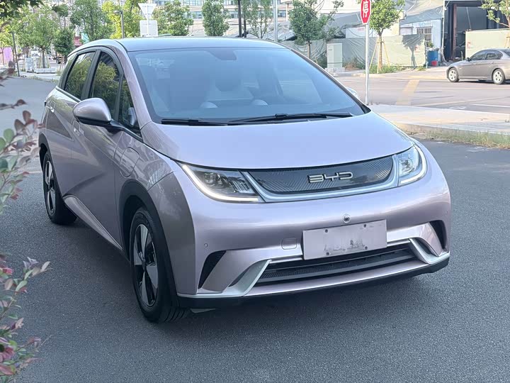 BYD Dolphin Glory Edition 420 km Style