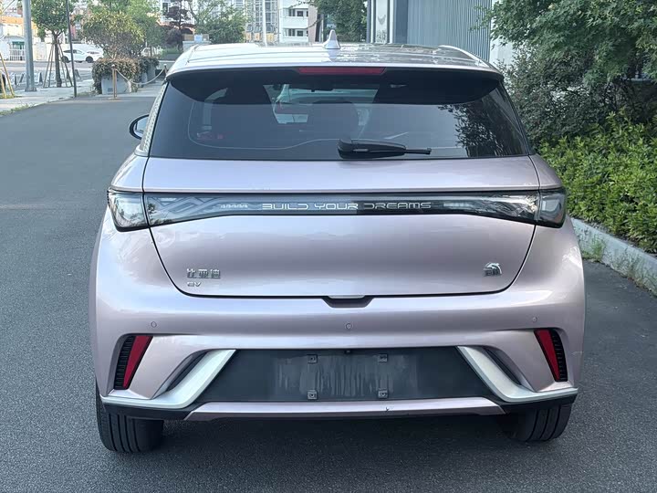 BYD Dolphin Glory Edition 420 km Style