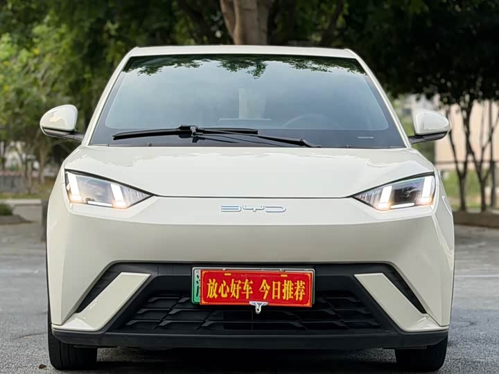 BYD Seagull Honor 305 km Free