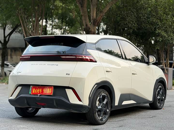 BYD Seagull Honor 305 km Free