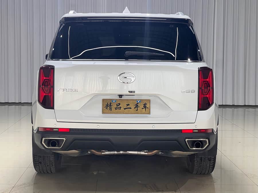 Trumpchi Trumpchi GS8 2024 Pioneer 2.0TGDI